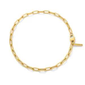 Paperclip Chain (Gold)